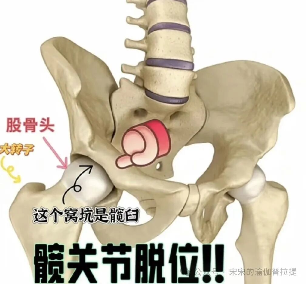 每天练习“抬腿