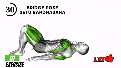 Bridge Pose