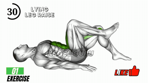 Lying Leg Raise